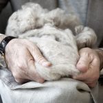 il cashmere